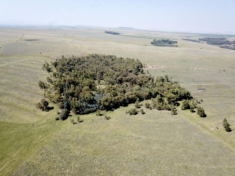 0 Bedroom Property for Sale in Bethlehem Rural Free State